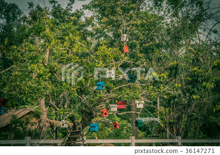 Colorful bird nest on the tree 36147271