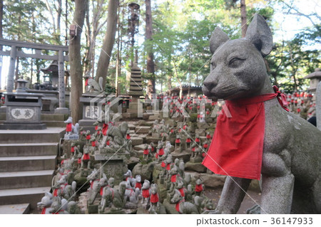 Reimuzuka (Toyokawa Inari) 36147933