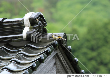 I found one on the roof of a tile I found one on the roof of a tile 36148138