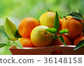 basket with oranges  36148158