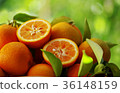 Fresh oranges  36148159