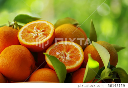 Fresh oranges Fresh oranges 36148159