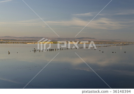 Early in the Morning on the beach in Pomorie 36148394