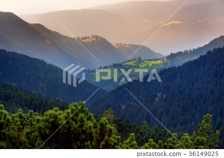 Scenic landscape of mixed pine and deciduous forest in South Tyrol, Renon/Ritten region, Italy Scenic landscape of mixed pine and deciduous forest in South Tyrol, Renon/Ritten region, Italy 36149025