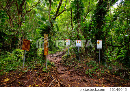 Trailhead of the famous Kalalau trail along Na Pali coast of the island of Kauai Trailhead of the famous Kalalau trail along Na Pali coast of the island of Kauai 36149043