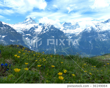 查看從遠足徑從Filst到Bach Alpsee 36149064