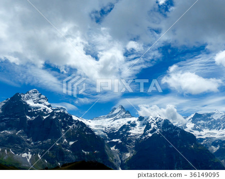 Wetterhorn和Schlechhorn 36149095