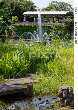 Kegami Kyoto 36149096