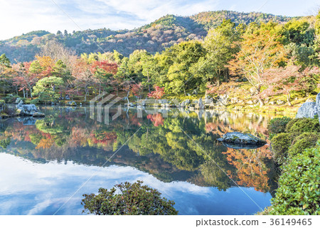 Tenryu寺在秋天 36149465