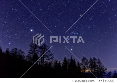 獵戶座和天狼星 獵戶座和天狼星 36150000