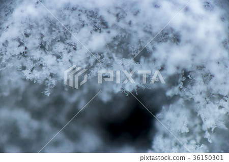 雪地 雪地 36150301
