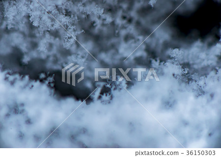 雪地 雪地 36150303