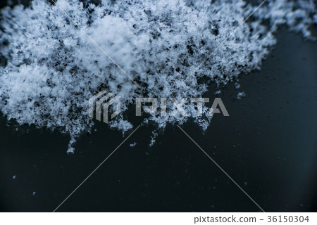 雪地 36150304