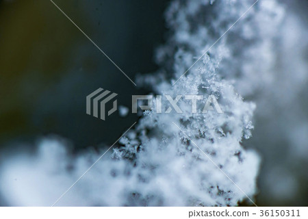 雪地 雪地 36150311