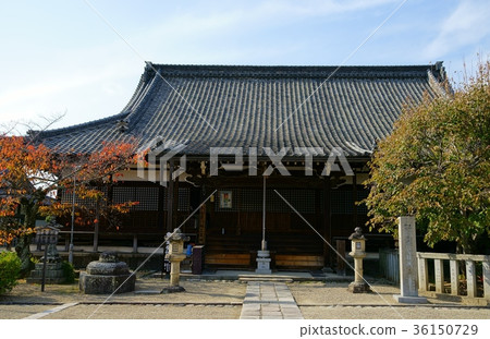 奈良/西大寺/市民1 36150729