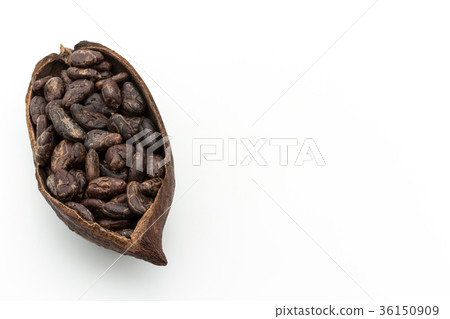 可可豆：可可豆 36150909