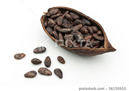Cocoa beans: cacao beans Cocoa beans: cacao beans 36150910