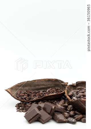Cacao beans, cacao nibs and chocolate: cacao beans & nibs, chocolate Cacao beans, cacao nibs and chocolate: cacao beans & nibs, chocolate 36150965