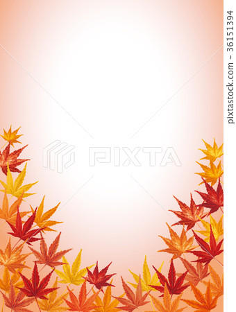 Maple autumn leaves background 1 Maple autumn leaves background 1 36151394