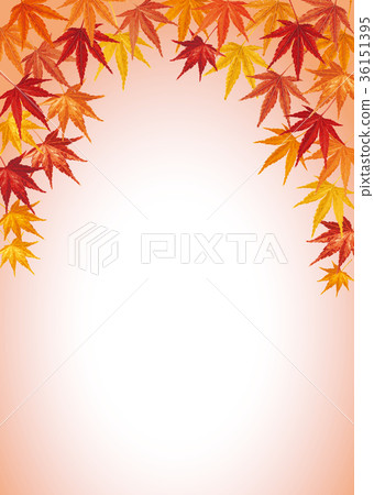 Maple autumn leaves background 2 Maple autumn leaves background 2 36151395