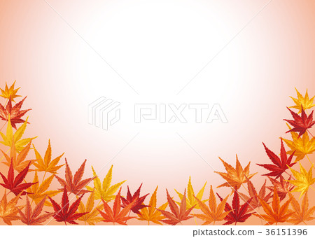 Maple autumn leaves background 3 Maple autumn leaves background 3 36151396