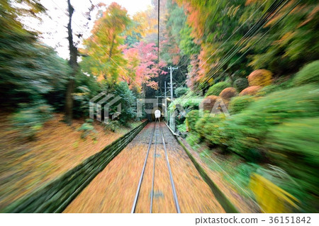 Mt. Takao秋葉和軌道和隧道 Mt. Takao秋葉和軌道和隧道 36151842