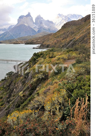 松樹國家公園 36151889