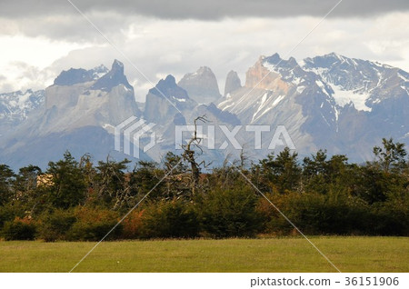 松樹國家公園 36151906