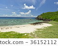 Yonagunijima 36152112