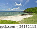 Yonagunijima 36152113