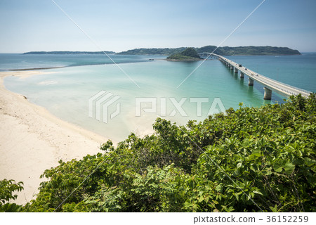 Green and Tsunoshima Ohashi and the sea Green and Tsunoshima Ohashi and the sea 36152259