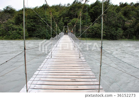 松樹國家公園 36152273