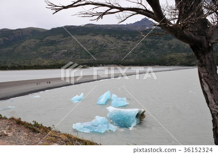 Pine National Park 36152324