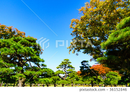 Imperial Palace square 1 Imperial Palace square 1 36152846