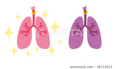 Lung organ medical health 36152923
