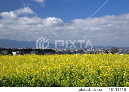 山腰的路 36153236