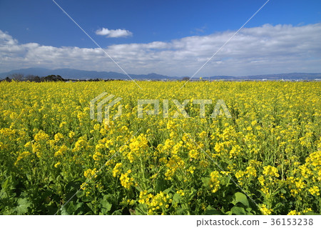 Road of the mountainside 36153238