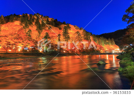 Illumination of autumn leaves at Korankei 36153833