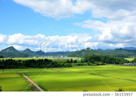 山形縣金山町 36153957