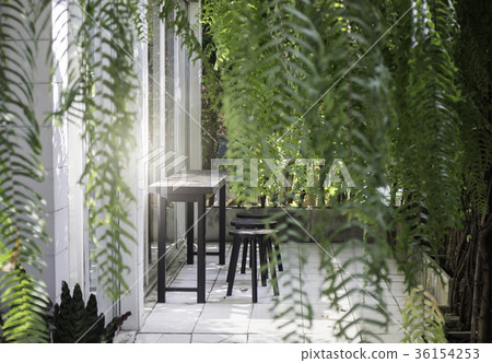 Green plant indoor home garden Green plant indoor home garden 36154253