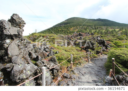 Kita Yatsugatake Tsuboi Gardens 36154671