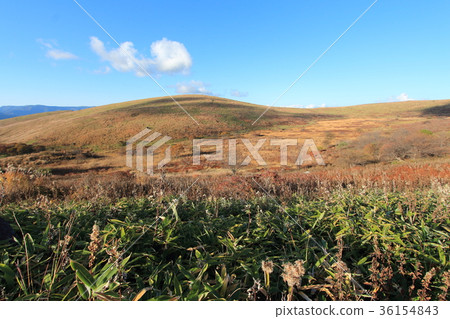 Kirigamine Kirigamine 36154843