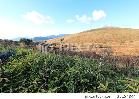 Kirigamine Kirigamine 36154844