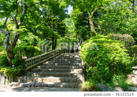 Hyakusoen Stairs Keio Tokyo Hino City Hyakusoen Stairs Keio Tokyo Hino City 36155524