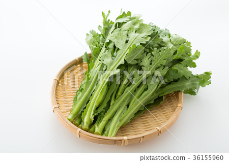 食用菊花 食用菊花 36155960