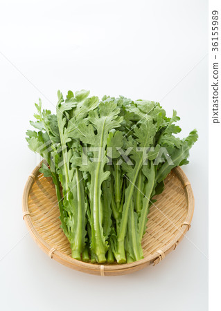 食用菊花 36155989