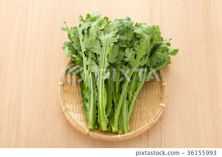 食用菊花 36155993