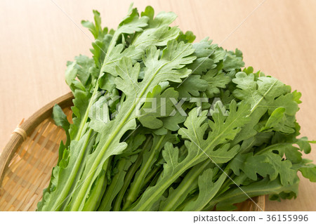 食用菊花 36155996