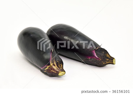 Eggplant (eggplant) 36156101