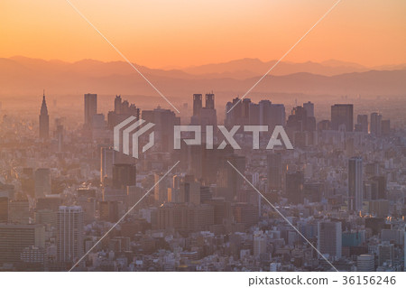 Tokyo, urban scenery "looking at Shinjuku subcenter" 36156246